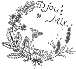 Logo Djous mix