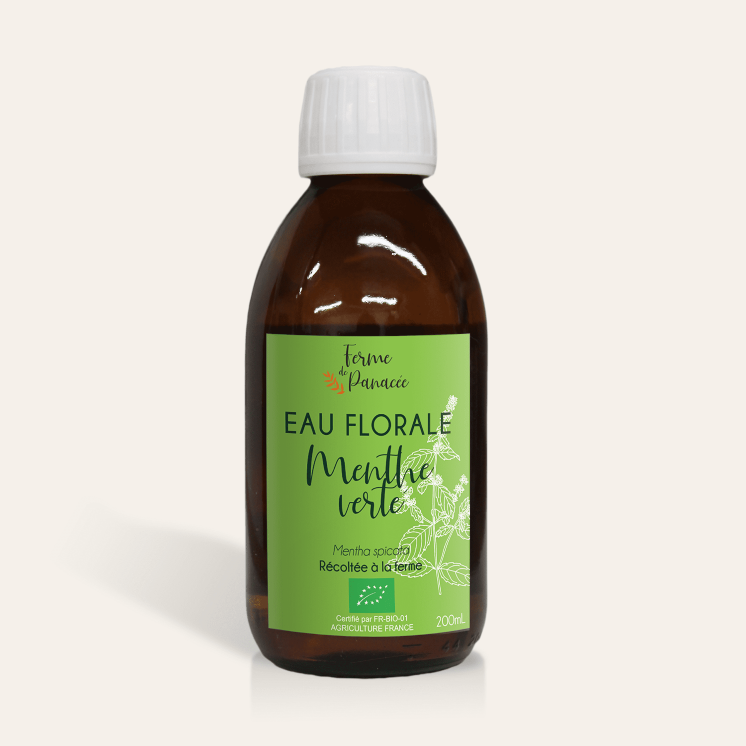 Eau florale de Menthe verte