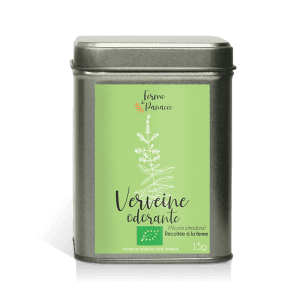 Tisane verveine sans fond
